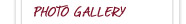 Show Synopsis